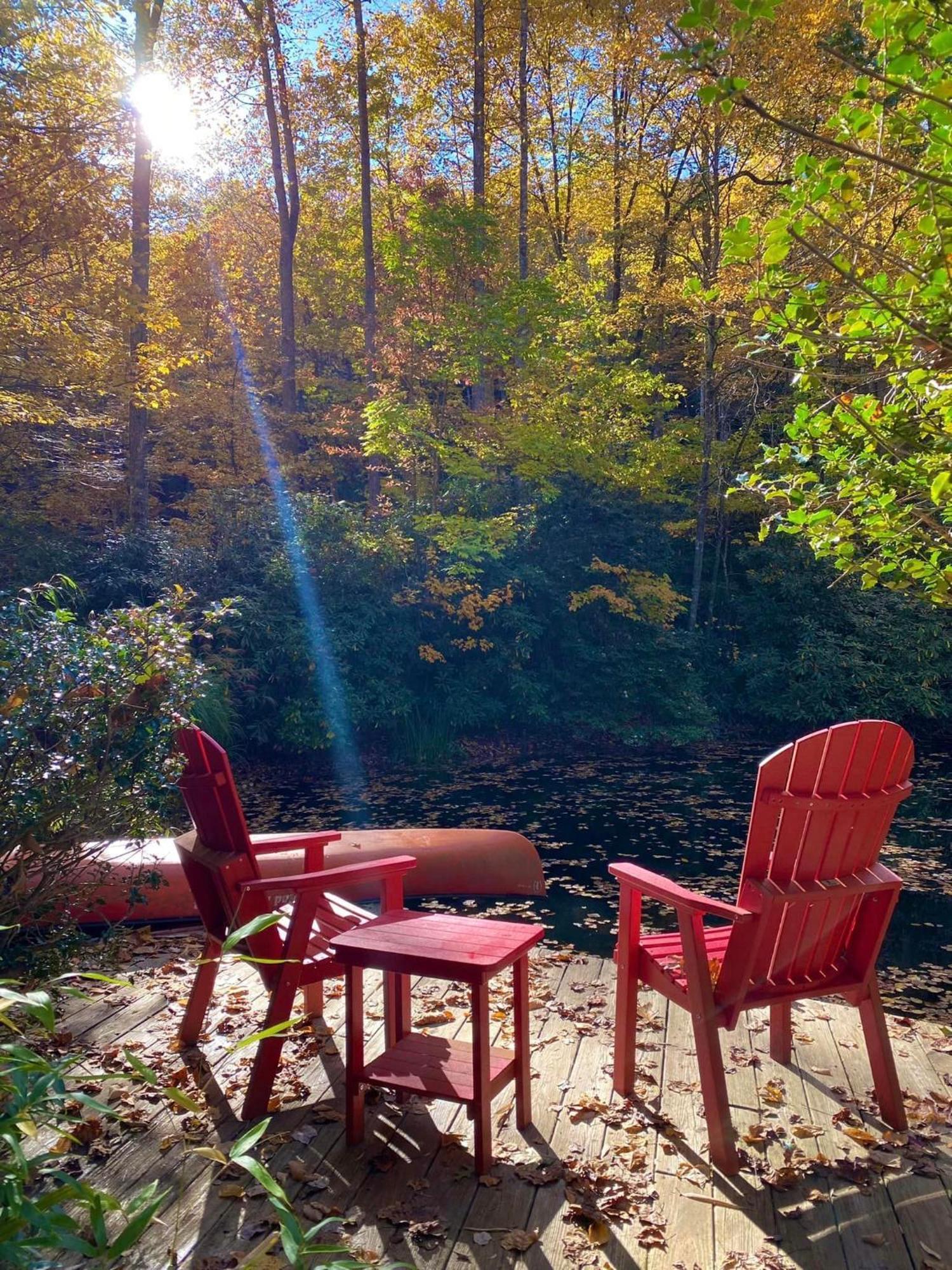 Hideaway At Harvest Moon Guest House Sylva Eksteriør bilde